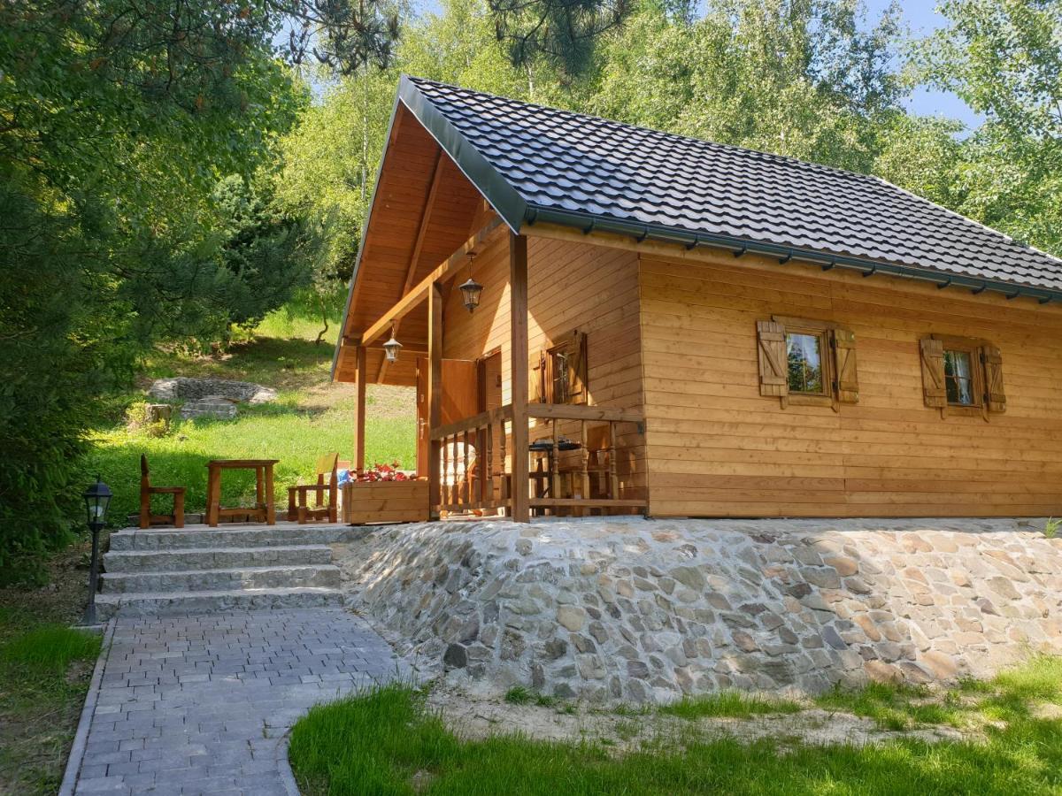 Domki Letniskowe Pod Lasem Koziniec Extérieur photo