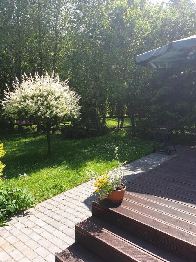 Domki Letniskowe Pod Lasem Koziniec Extérieur photo