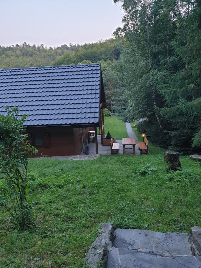 Domki Letniskowe Pod Lasem Koziniec Extérieur photo